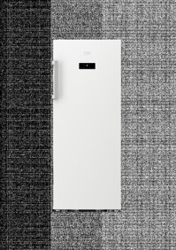 Beko RFNE 270E23W